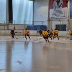 Frauen Landesliga NRW | SEG Die Bördeindianerinnen vs. Düsseldorfer Devils