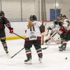 Soester EG vs. Herner EV 1b am 22.02.2026