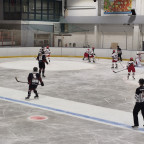 DFEL 2 Nord | Soester EG vs. FASS Berlin