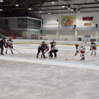DFEL 2 Nord | Soester EG vs. FASS Berlin