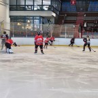 Frauen Landesliga NRW | SEG Die Bördeindianerinnen vs. Ratinger Ice Aliens
