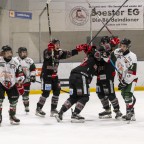 Soester EG vs. Herner EV 1b am 22.02.2026