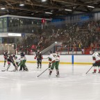 Soester EG vs. Herner EV 1b am 01.02.2026