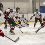 Soester EG vs. Herner EV 1b am 22.02.2026