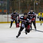 SEG vs. Eisadler Dortmund 1b
