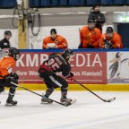 Soester EG vs. Dinslakener Kobras 1b am 16.11.2025