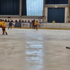 Frauen Landesliga NRW | SEG Die Bördeindianerinnen vs. Düsseldorfer Devils