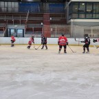 Frauen Landesliga NRW | SEG Die Bördeindianerinnen vs. Ratinger Ice Aliens