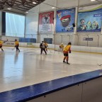 Frauen Landesliga NRW | SEG Die Bördeindianerinnen vs. Düsseldorfer Devils