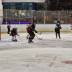 DFEL 2 Nord | Soester EG vs. FASS Berlin